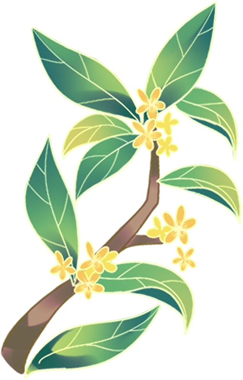 看完必须来, AA, img 看完必须来, AA, img